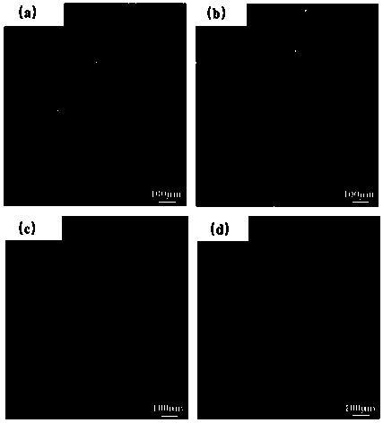 Anti-thrombosis and anti-infection titanium alloy implantation instrument with alveolate porous structure