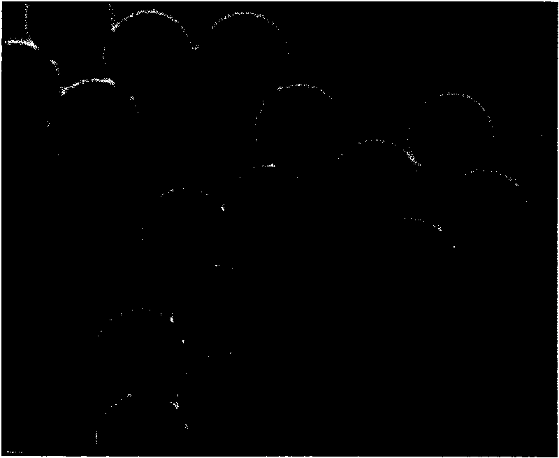 Method for preparing cation polystyrene template based on porous materials