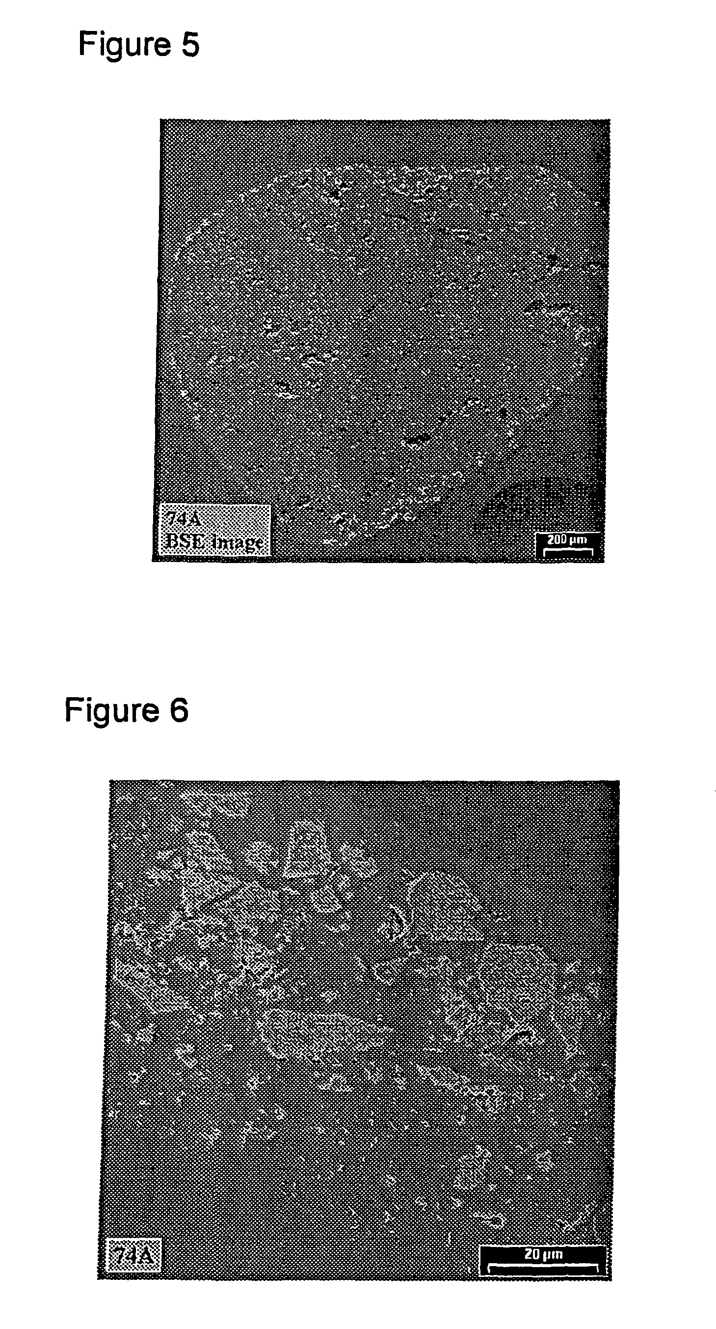 Algae resistant roofing granules with controlled algaecide leaching rates, algae resistant shingles, and process for producing same