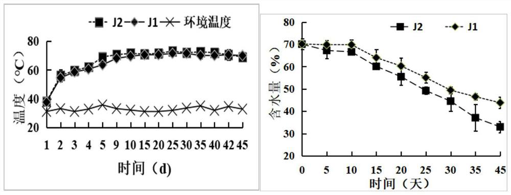 High-efficiency degradation of high temperature-resistant Brevibacillus reuteri njau-n20 by wood fiber and its application