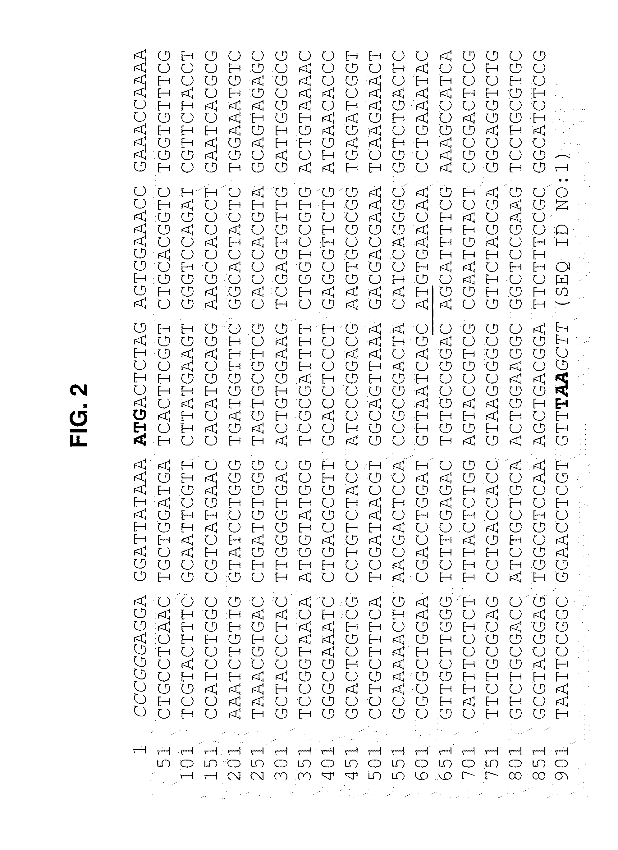 Fatty acid-producing hosts