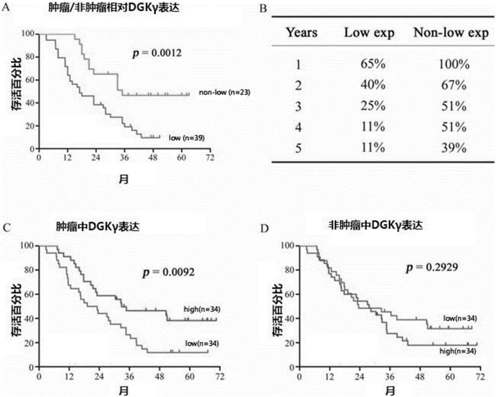 Applications of diacylglycerol kinase gamma to treatment, diagnosis and predication of liver cancer