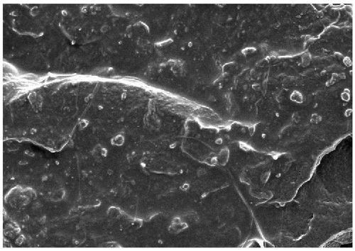 Reinforced and antibacterial plastic masterbatch based on artificial agglomerated stone waste residues and preparation method thereof