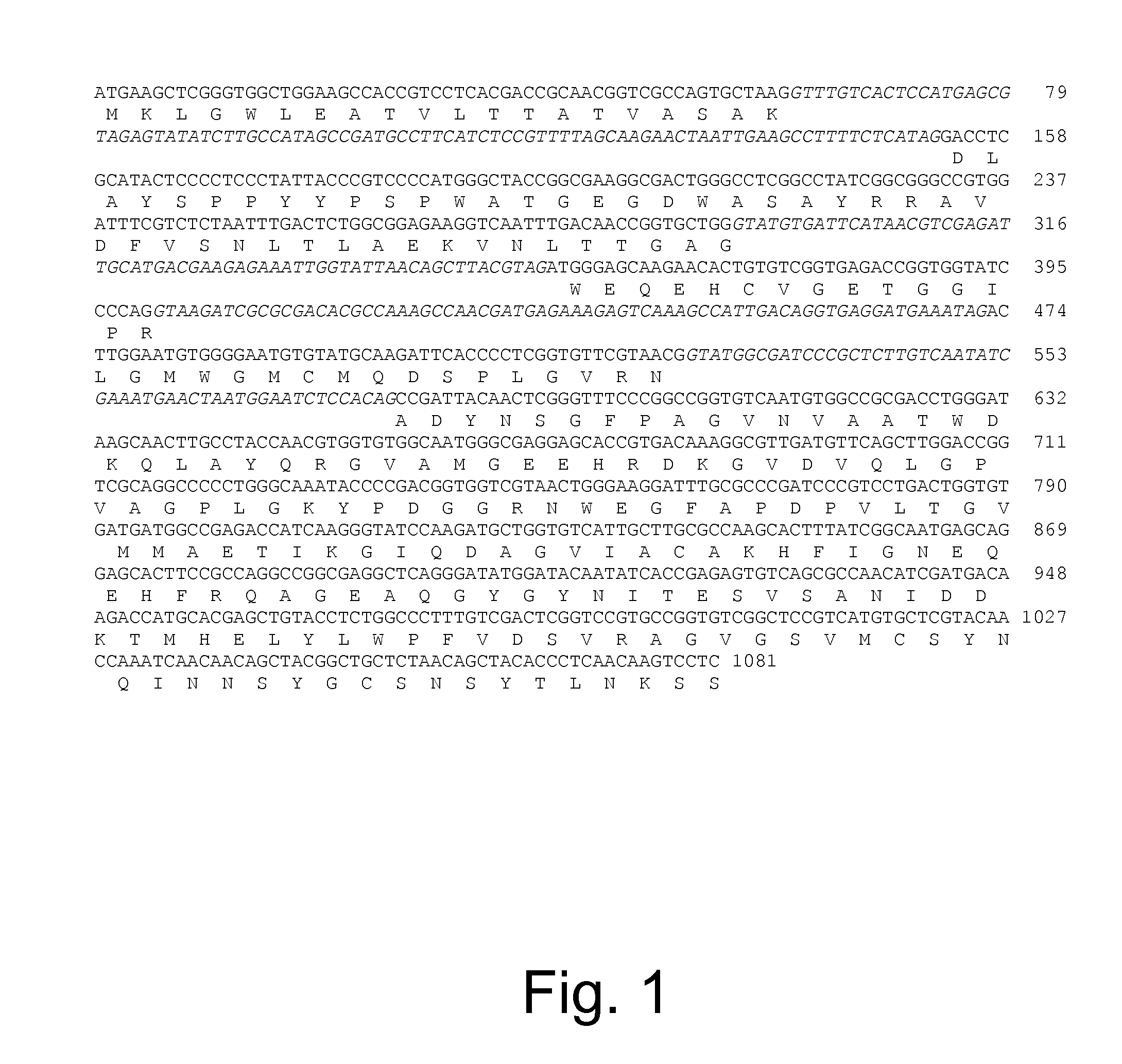 Polypeptides having beta-glucosidase activity and polynucleotides encoding same