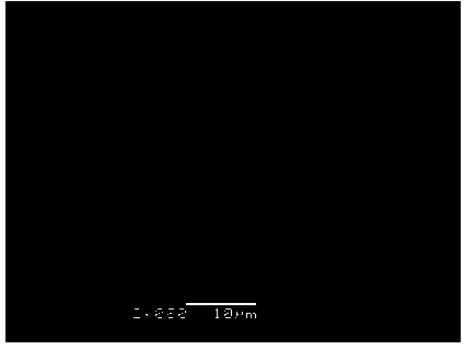 Ultrasonic assisted method for preparing precursor of ternary positive material of lithium ion battery