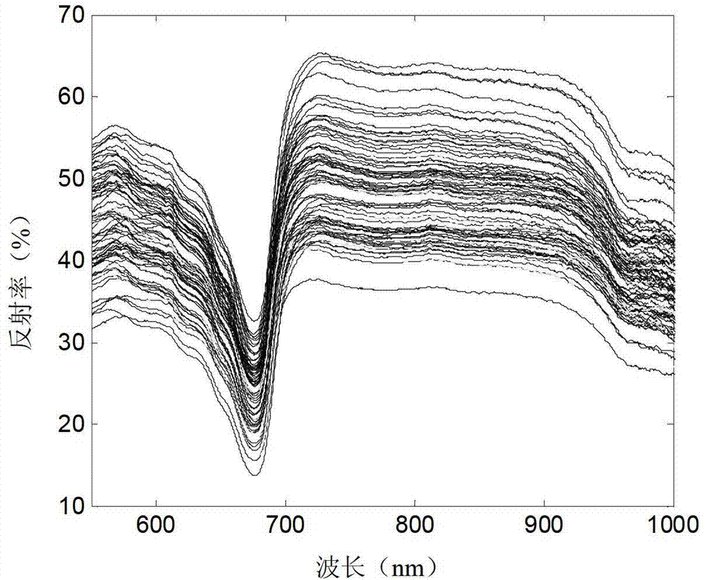 Fruit maturity degree evaluation method based on spectrum and color measurement