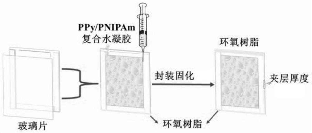 PNIPAm/PPy composite hydrogel as well as preparation method and application thereof