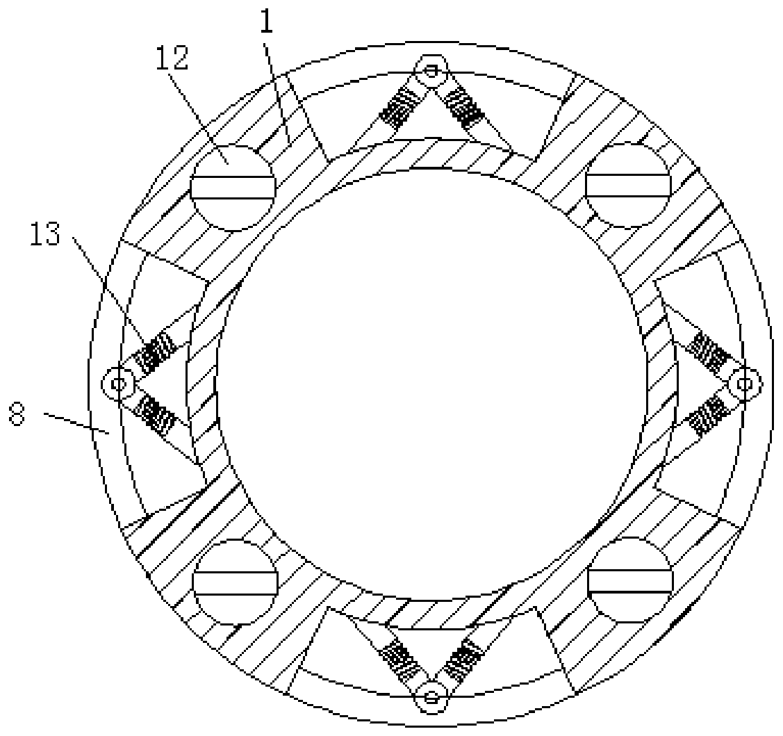 Mounting device for water pump in variable water level area