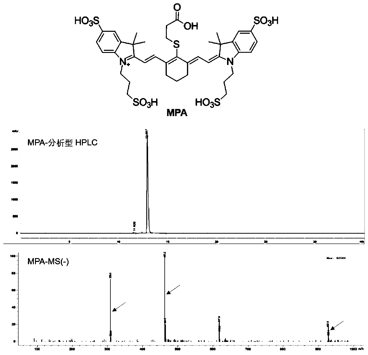 Tumor-targeted GRP analogue and application thereof