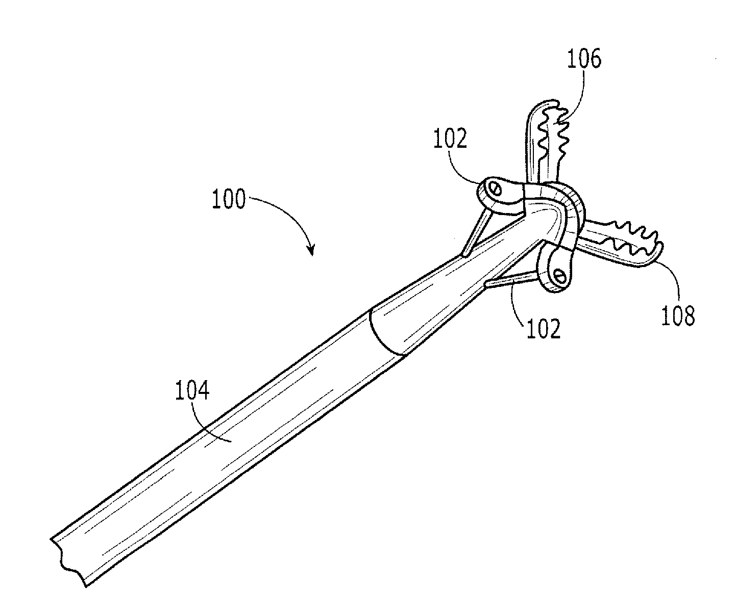 Tissue sample protecting cauterizing biopsy forceps