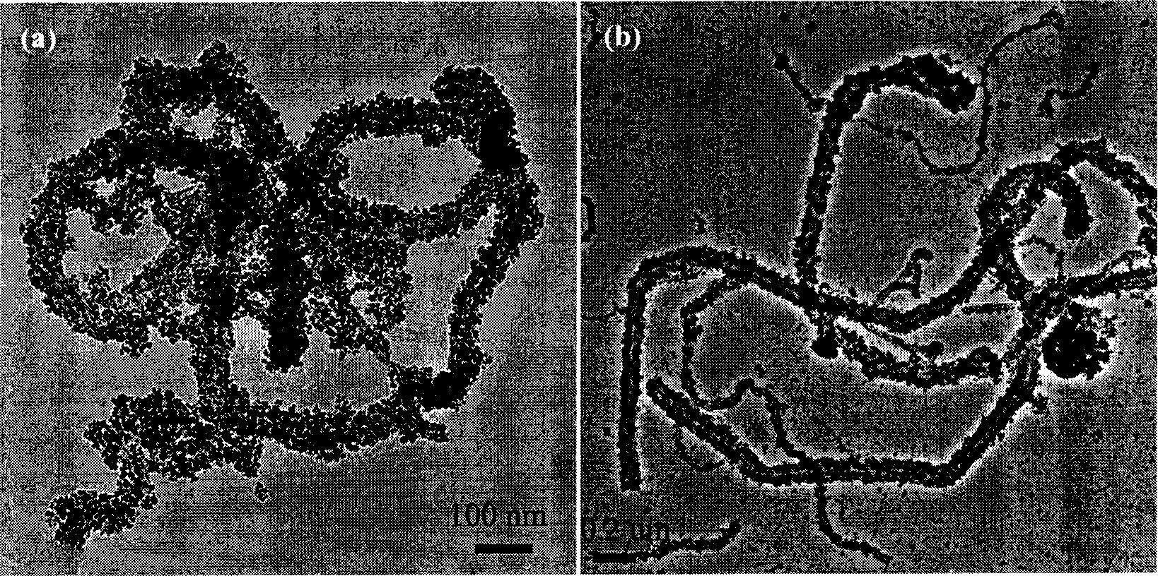 Magnetic composite powder for ferroferric oxide nanometer crystal modified carbon nanometer pipe and its preparation method