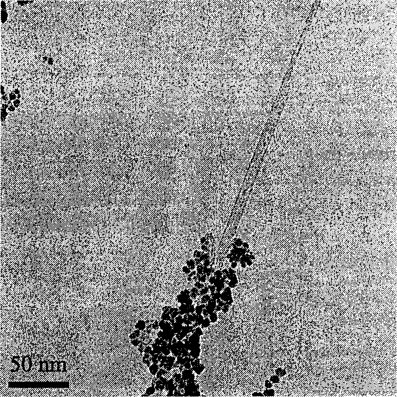 Magnetic composite powder for ferroferric oxide nanometer crystal modified carbon nanometer pipe and its preparation method