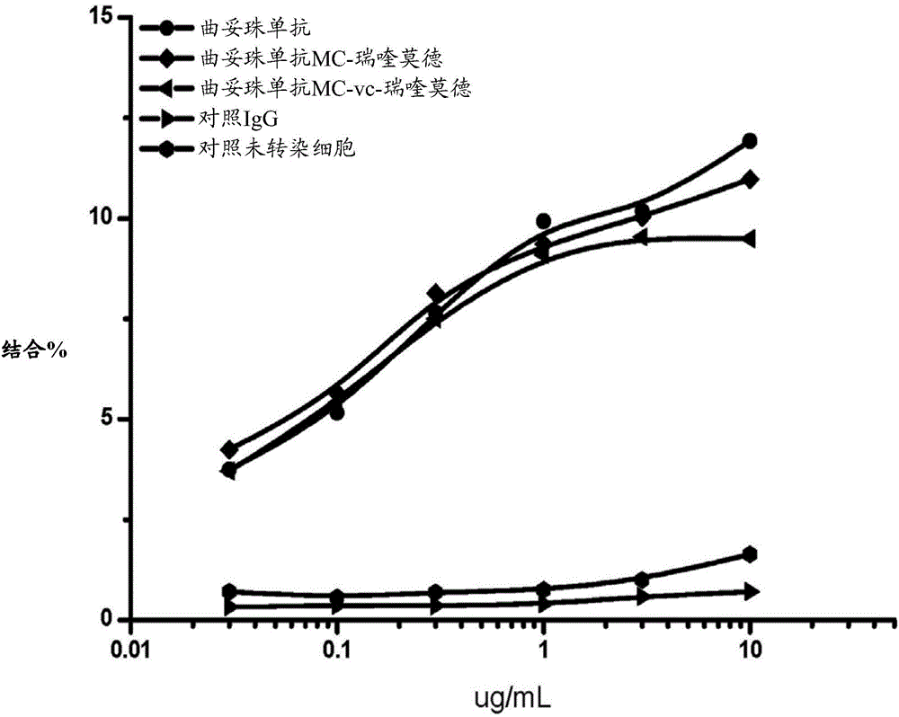 HER2 positive tumor targeting compound and composition thereof