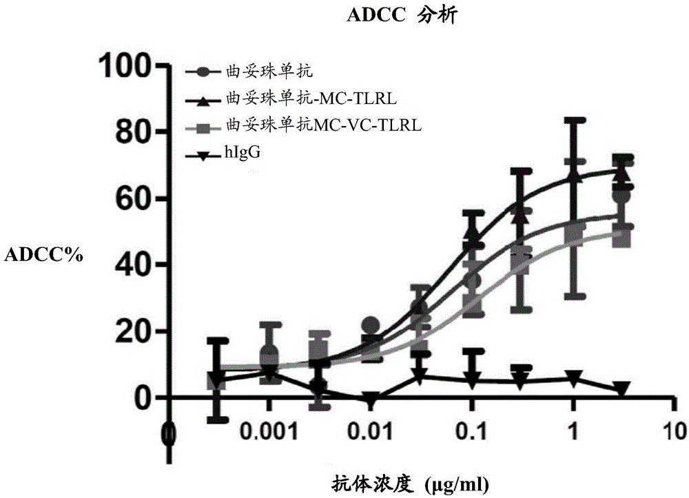 HER2 positive tumor targeting compound and composition thereof