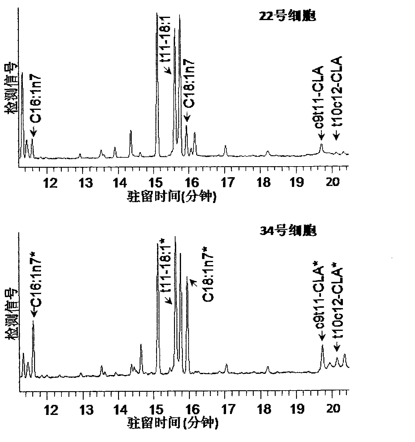 Method for biologically synthesizing conjugated linoleic acid CLA