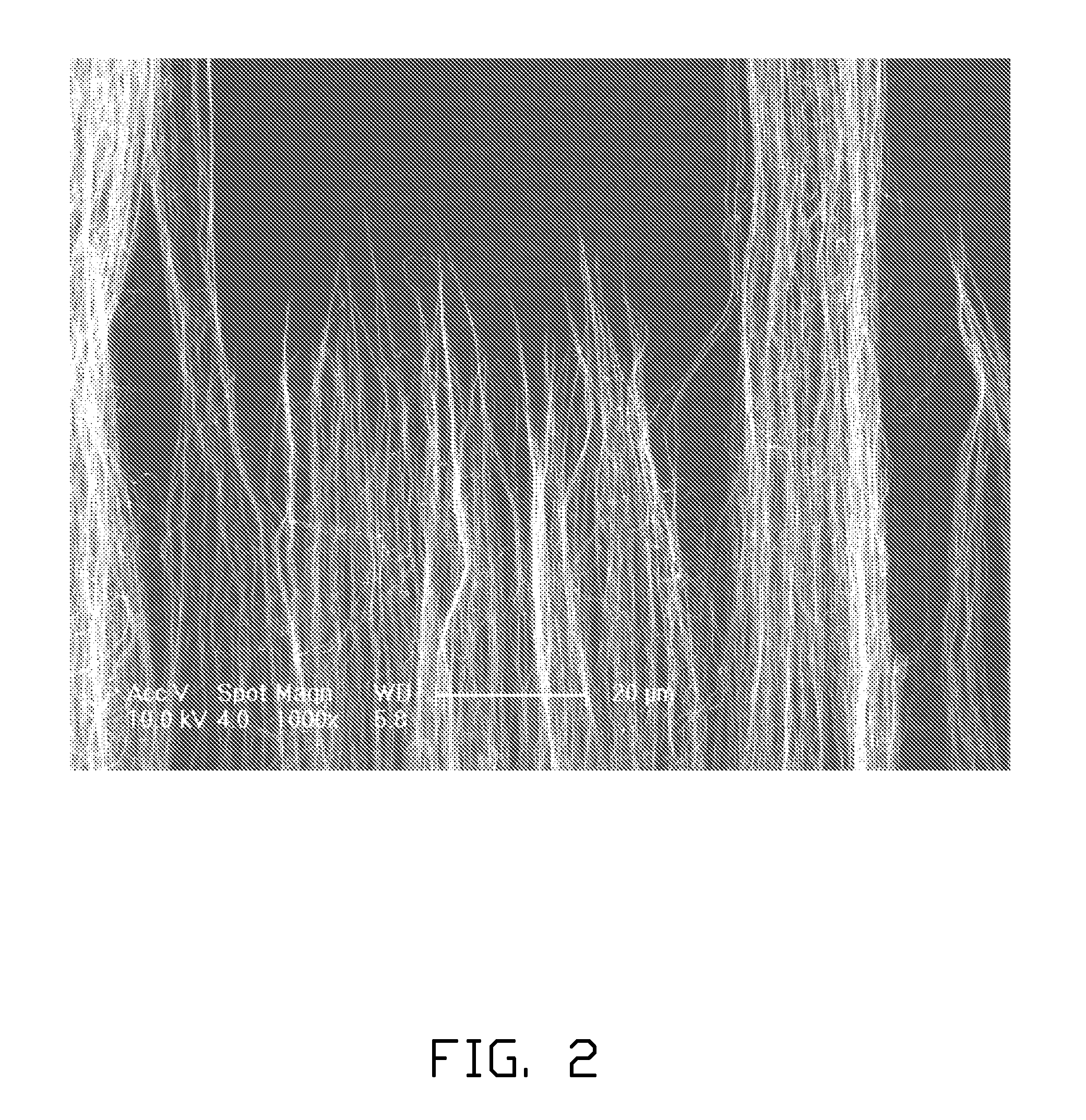 Variable-density carbon nanotube film and method for manufacturing the same