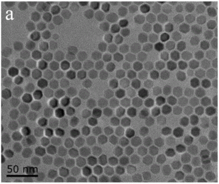 Injectable temperature-sensitive magnetic nano emulsive gel and preparation method and application thereof