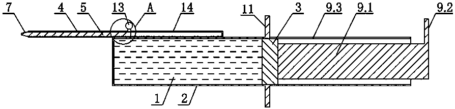 Disposable lacrimal passage flushing device