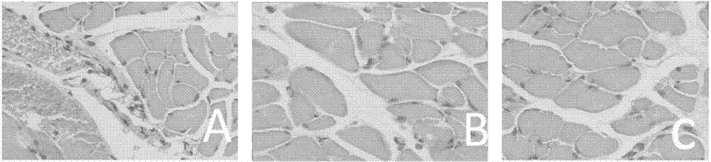 Uses of organic-inorganic hybrid polyanoxometalate compounds