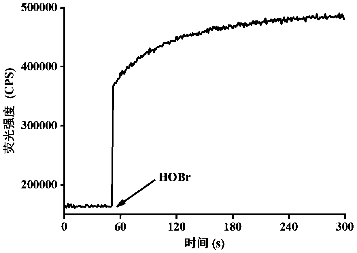 Rapid high-selectivity hypobromous acid fluorescence probe, and preparation method and application thereof