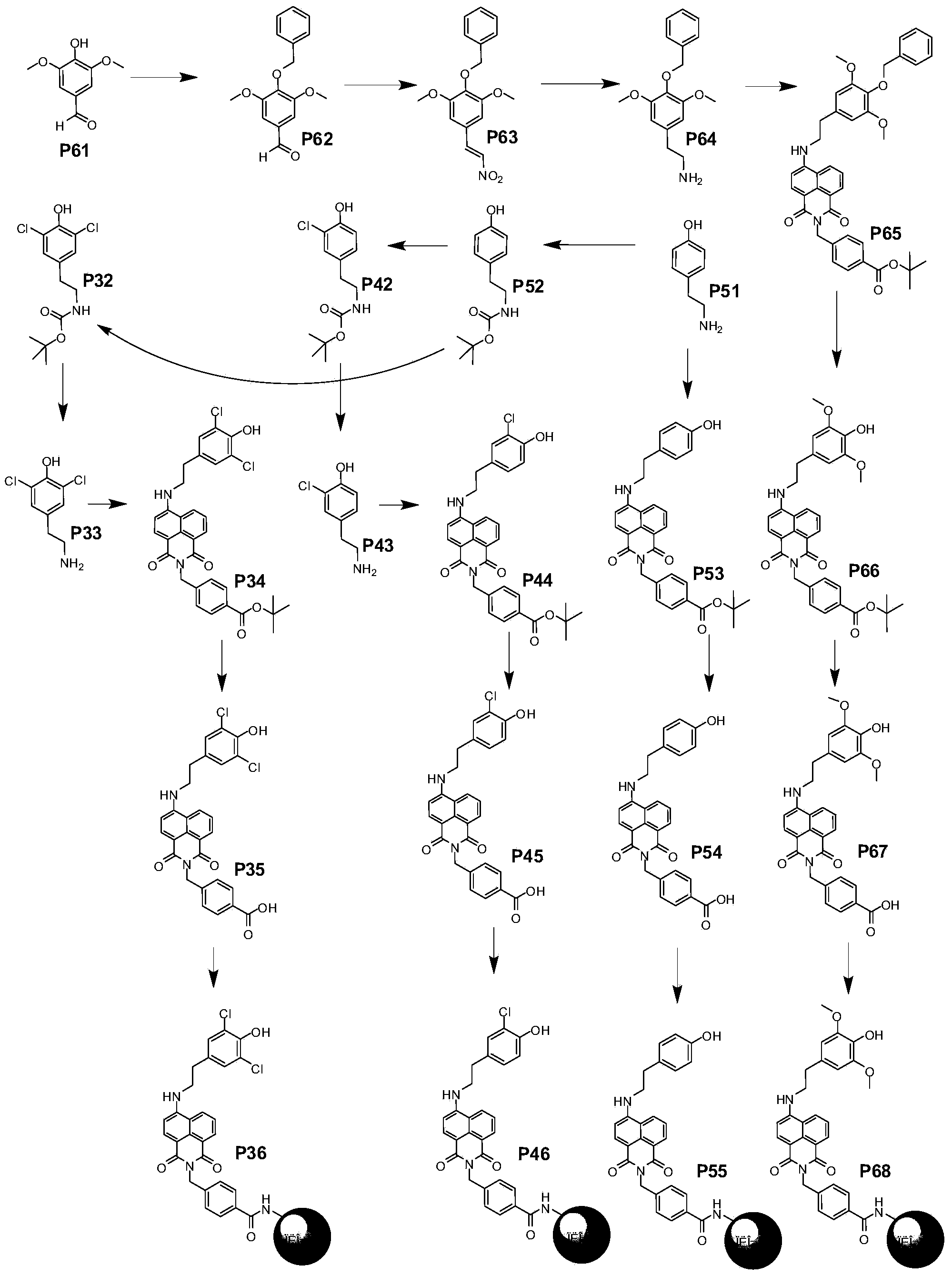 Organic compound for preparing wide pH fluorescence probes and application thereof