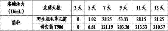 White rot Inonotus hispidus mutant strain T906 for laccase production and preparation method thereof