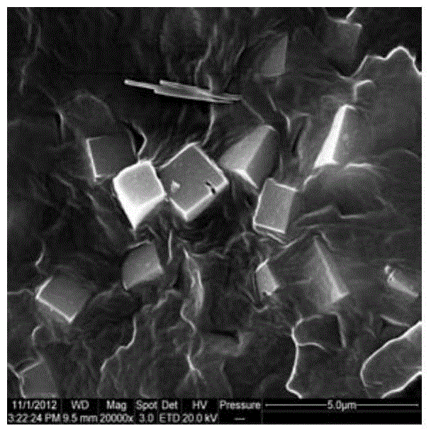 A kind of preparation method and application of thermoplastic elastomer as matrix mixed matrix film