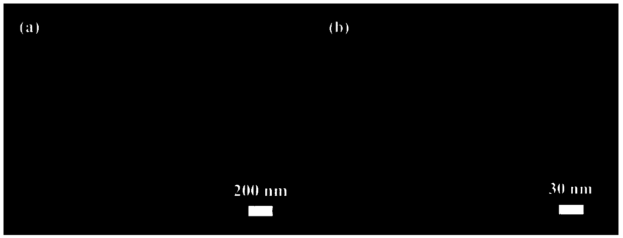 Synthetic method of novel ordered macroporous-mesoporous-microporous hierarchical porous silicon-aluminium molecular sieve