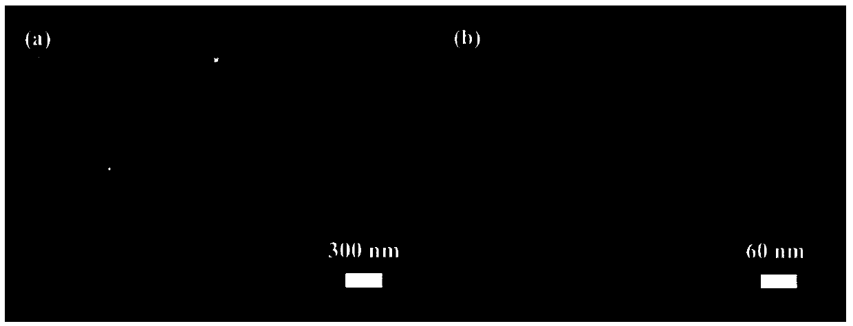 Synthetic method of novel ordered macroporous-mesoporous-microporous hierarchical porous silicon-aluminium molecular sieve