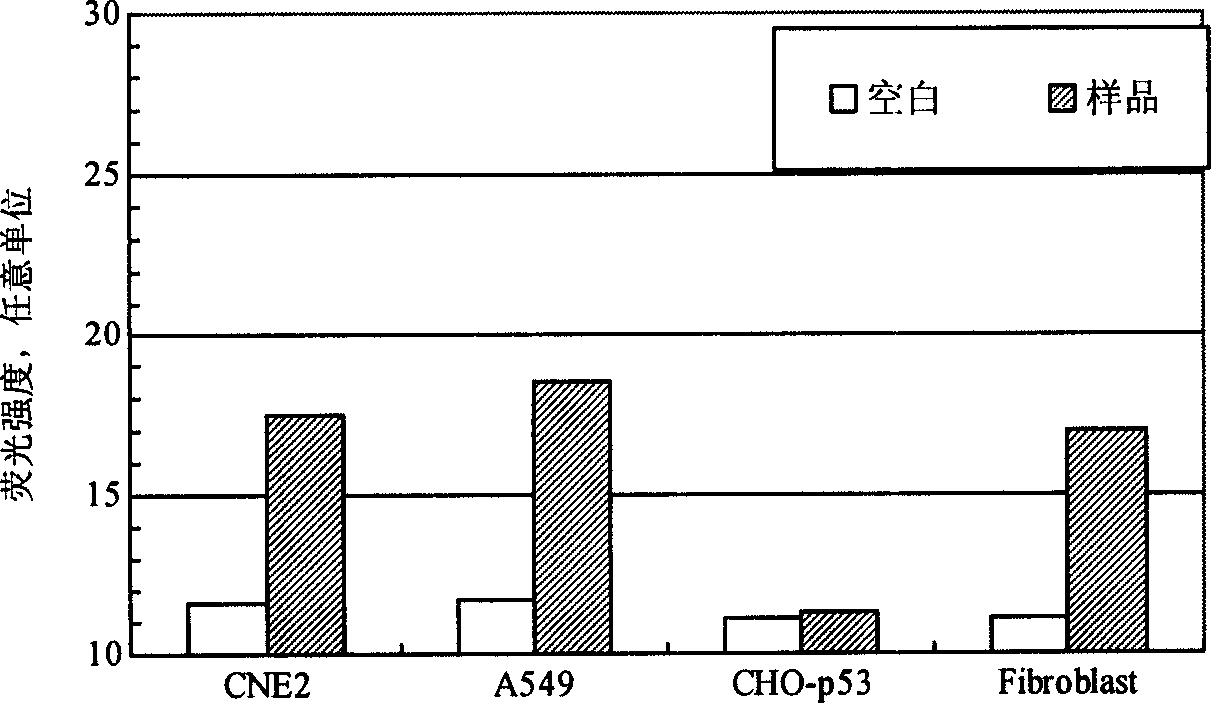 One-dimensional biological chip and application in gene, protein expression analysis