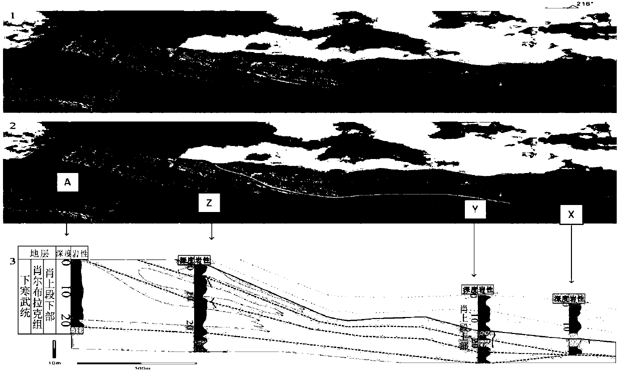 Fine characterization and prediction method for carbonate rock particle beach