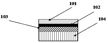 High-gloss natural veneer, board and rapid molding method of high-gloss surface thereof