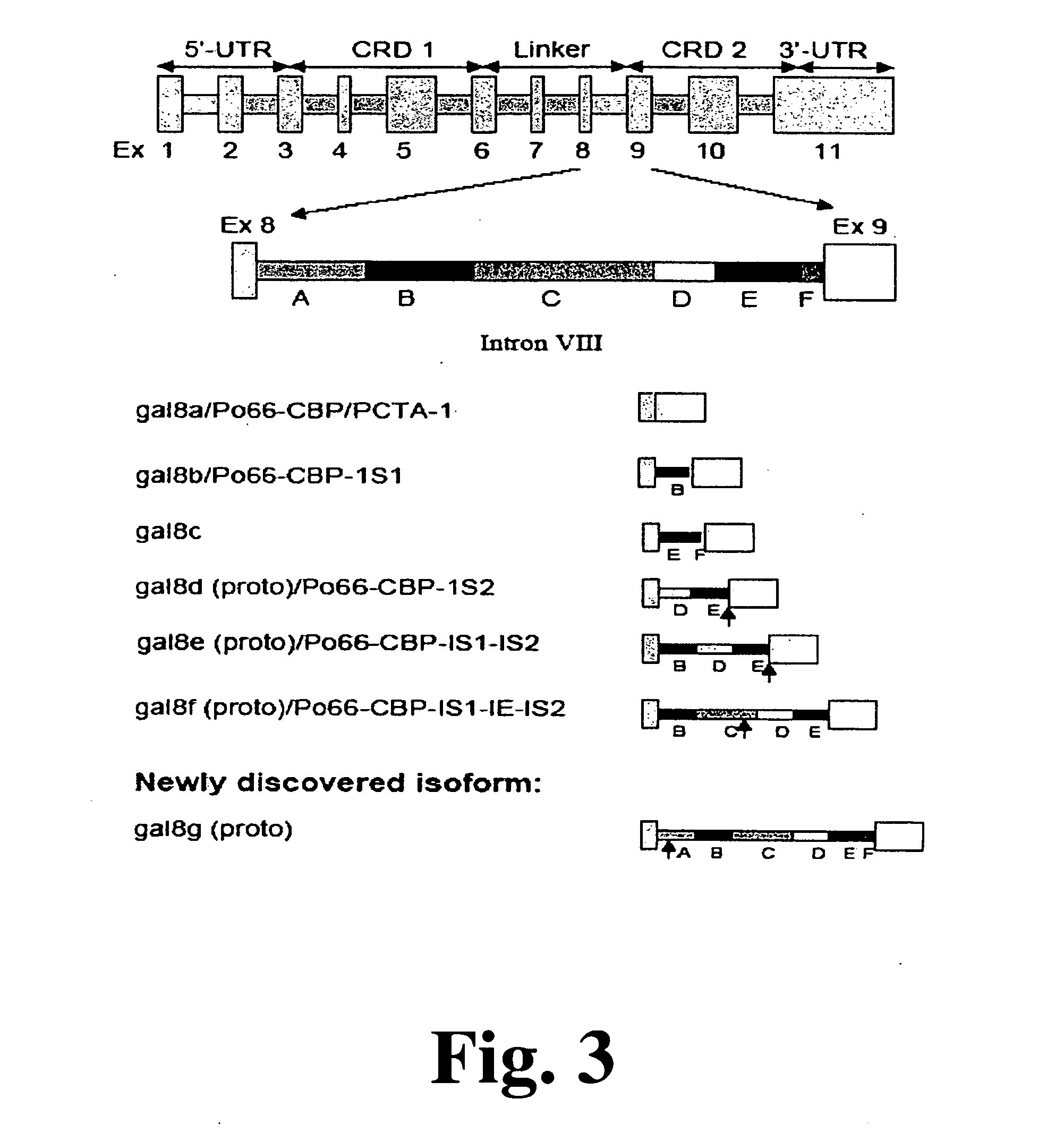 Method and assay for early diagnosis of prostate cancer