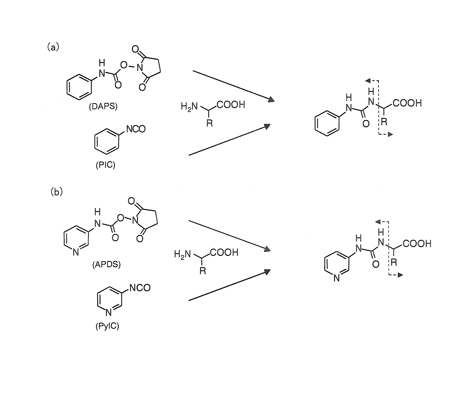 Method and apparatus for analyzing compounds with amino group