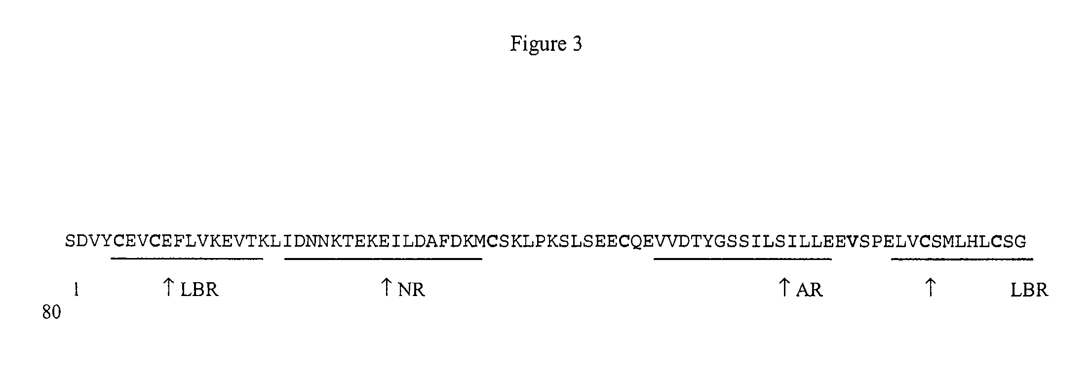 Fusogenic properties of saposin C and related proteins and peptides for application to transmembrane drug delivery systems