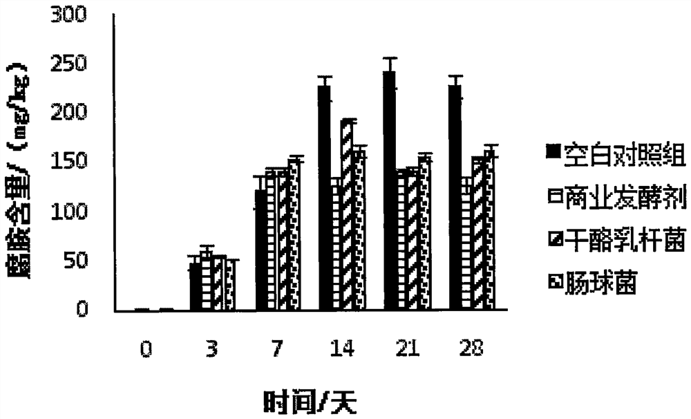 Use of enterococcus in preparing sausage, method for preparing sausage and sausage