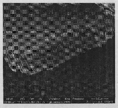 Method for preparing highly ordered tungsten trioxide nano-rod