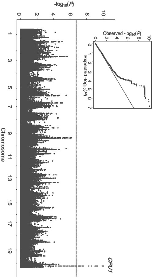 SEC12-like protein gene CPU1 and application thereof in improving soybean phosphorus efficiency