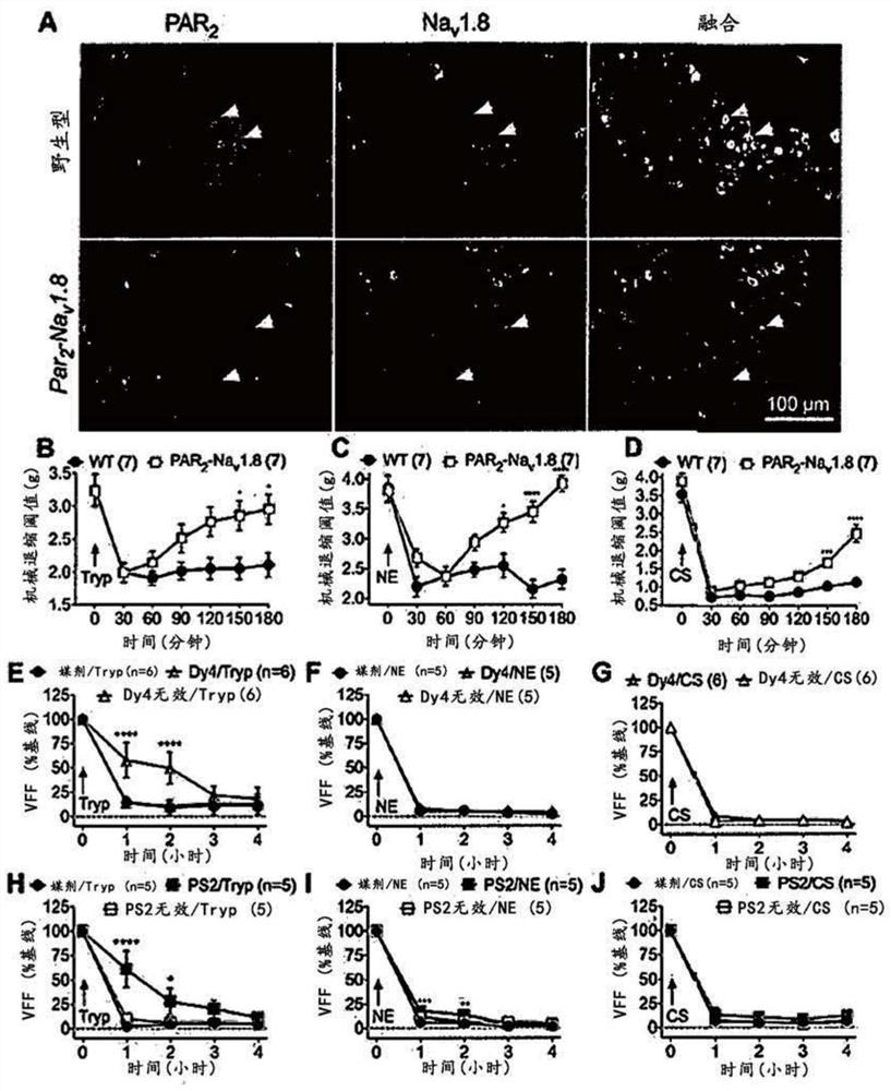 Inhibitors of protease activated receptor-2