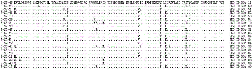 hepatitis B surface antigen resistant antibody and application thereof