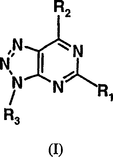 Triazolo[4,5-d] pyrimidine derivatives and their application as purinergic receptor antagonists