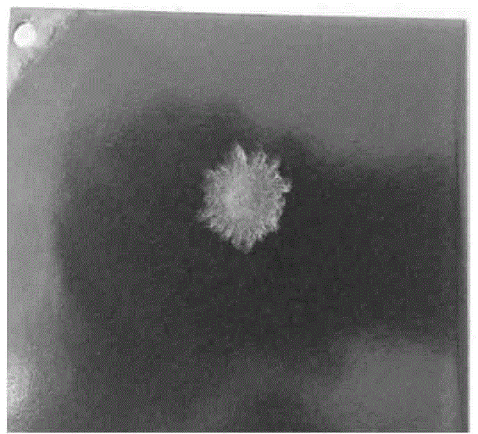 Vanadium-titanium enamel glaze material, and preparation method thereof