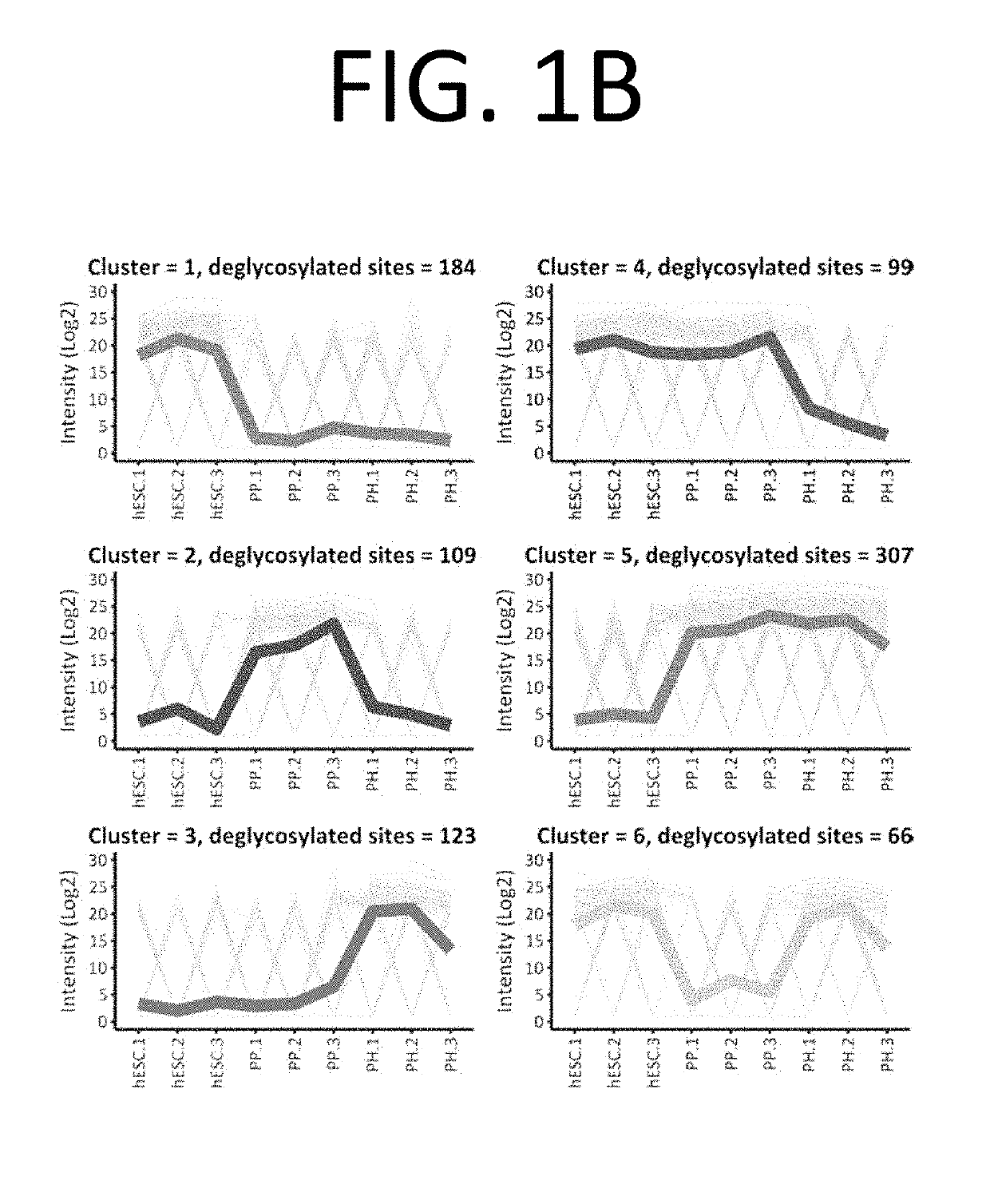 Selection of pancreatic progenitors