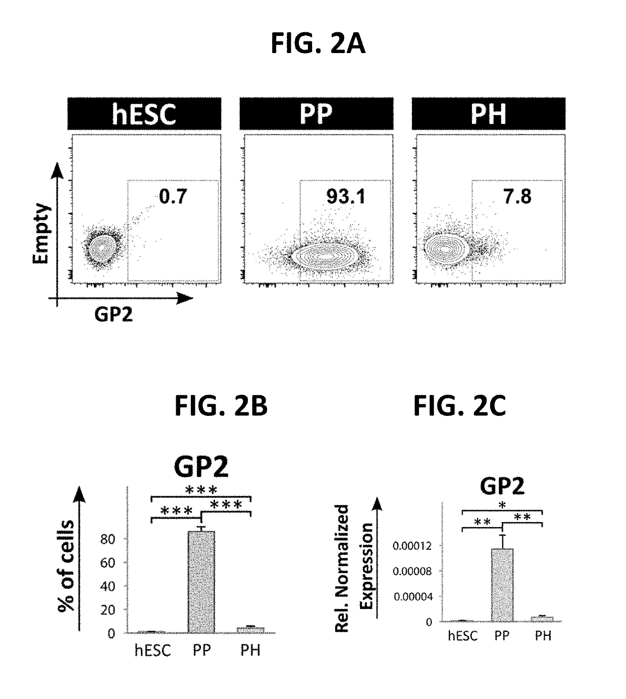 Selection of pancreatic progenitors