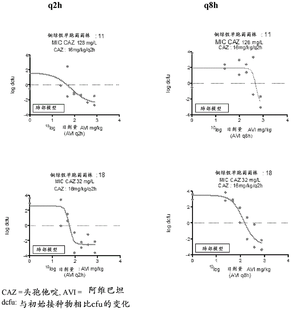 Combination therapy for the treatment of nosocomial pneumonia