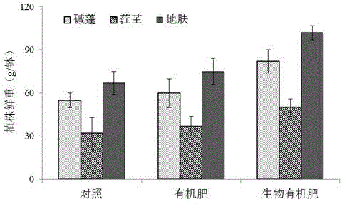 Plant growth promoting bio-organic fertilizer for saline-alkali land