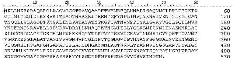 Novel heatproof beta-agaropectinase AgaXa, its preparation method and application