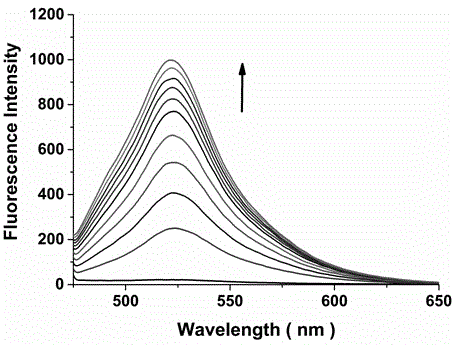 A bifunctional probe, its preparation method and its application in the detection of normal parallel conformation g-quadruplex