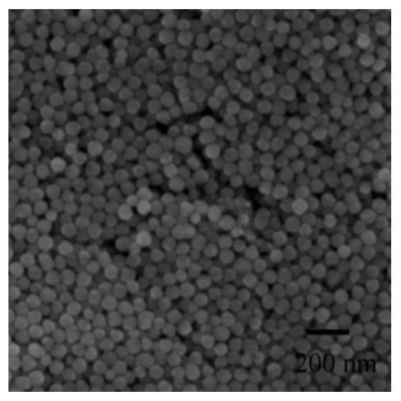 A nanocomposite material with photodynamic and photothermal combined therapy functions and its preparation method and application