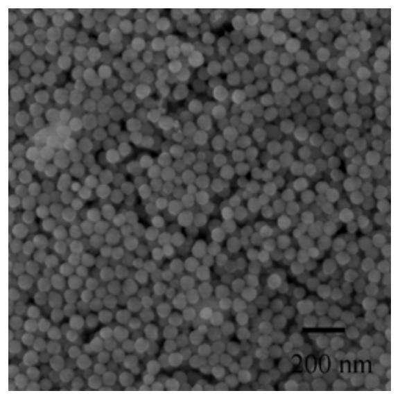 A nanocomposite material with photodynamic and photothermal combined therapy functions and its preparation method and application